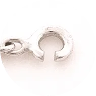 Broken Chain Clasps Image